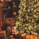 Tipps und Tricks, wie man einen Weihnachtsbaum richtig aufstellt